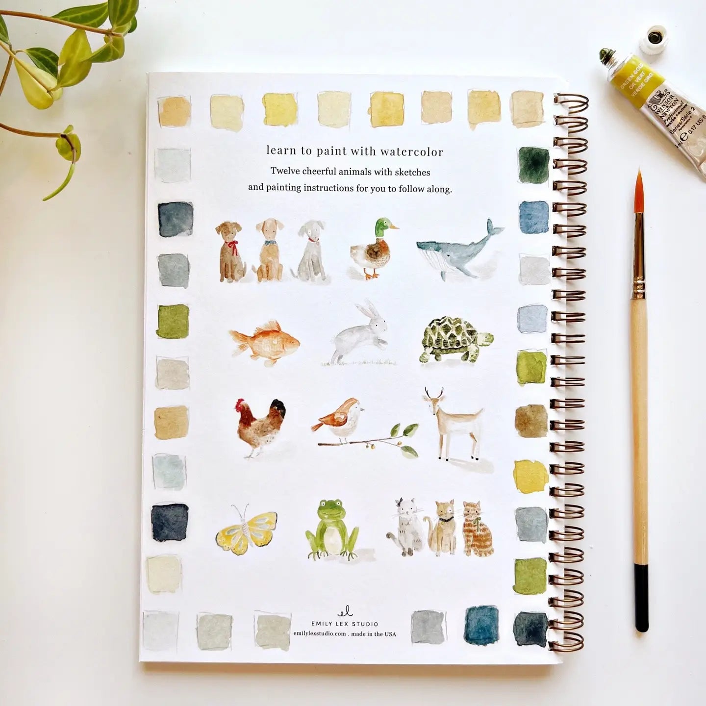 Watercolor Workbook - Joyful Collective